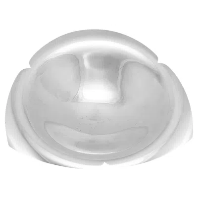 Pre-owned Tiffany & Co . 925 Sterling Silver Triangular Leaf Candy Dish Bowl In Multi