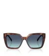 Tiffany & Co Acetate Square Tf4235 Sunglasses In Brown