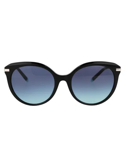 Tiffany & Co Black Acetate Sunglasses In Blue