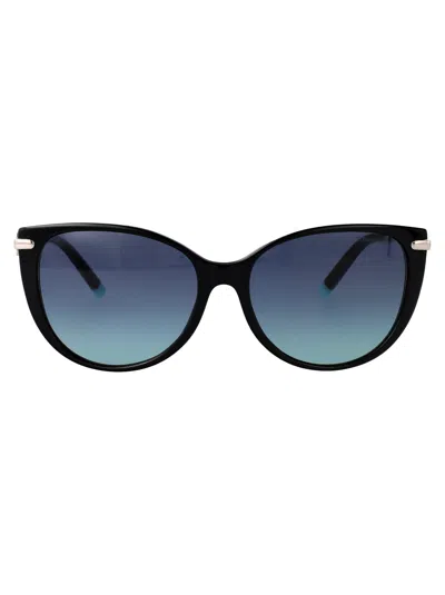 Tiffany & Co Black Acetate Sunglasses
