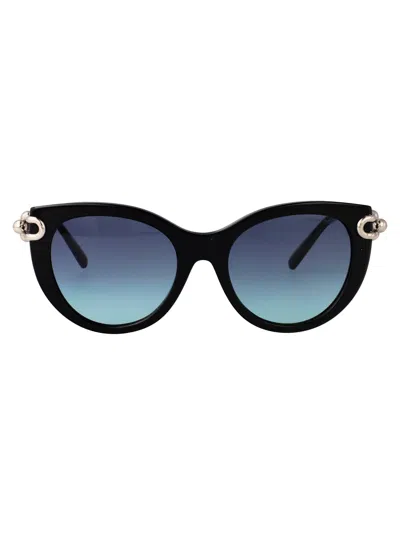 Tiffany & Co Black Acetate Sunglasses