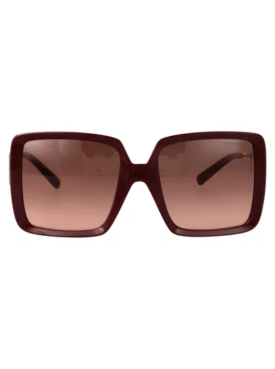 Tiffany & Co Burgundy Injected Sunglasses In Brown