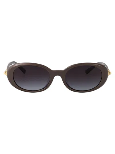 Tiffany & Co Chocolate Truffle Acetate Sunglasses In Gray