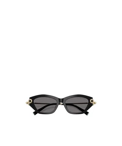 Tiffany & Co Frame Sunglasses In Black