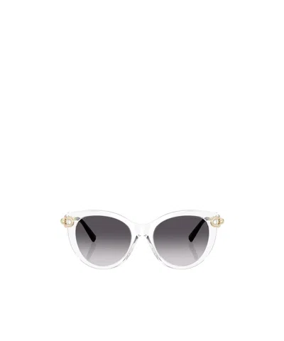 Tiffany & Co Full Frame Sunglasses In White