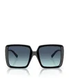 Tiffany & Co Tiffany Black Injected Sunglasses In Black