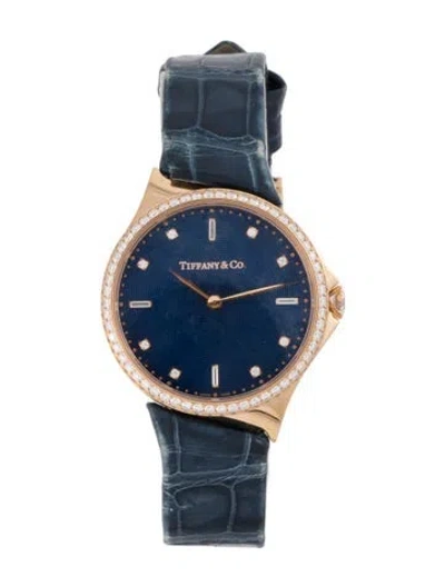 Pre-owned Tiffany & Co Metro Watch In Multi