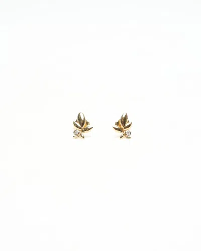 Tiffany & Co Olive Leaf 18k Yellow Gold Earrings