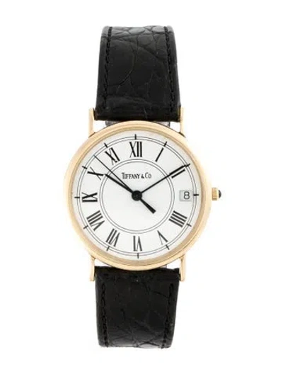 Pre-owned Tiffany & Co Portfolio Watch In Multi