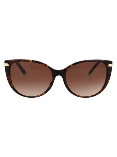 Tiffany & Co Havana Acetate Sunglasses In Black