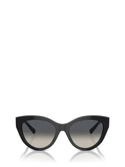 Tiffany & Co . Sunglasses In Brown