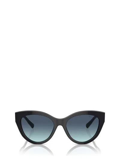 TIFFANY & CO TIFFANY & CO. SUNGLASSES