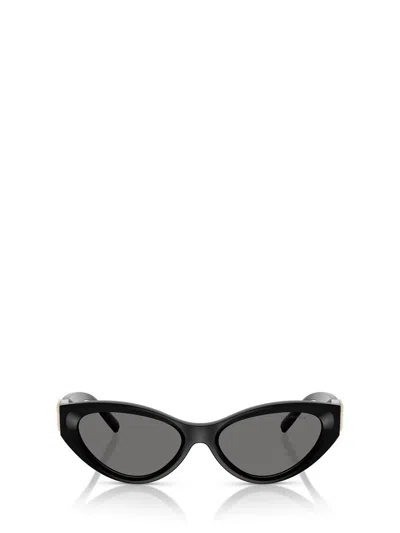 TIFFANY & CO TIFFANY & CO. SUNGLASSES