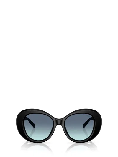 Tiffany & Co . Sunglasses In Black
