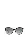 Tiffany & Co Full Frame Sunglasses In Gray