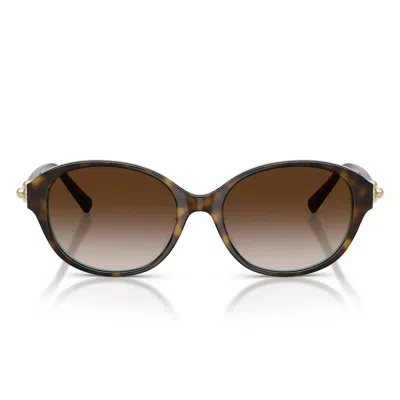 Tiffany & Co . Sunglasses Tf4263 D 81343 B Brown On Tiffany Blue/brown Gradient Women