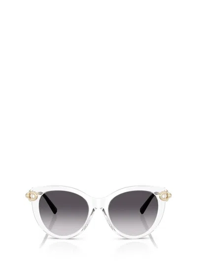 Tiffany & Co Butterfly Sunglasses 0 Tf4232 80473 C In Transparent