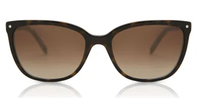 Tiffany & Co Tf4105hb 81343b Women's Sunglasses Tortoiseshell Size 55 In Brown