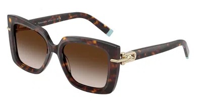Tiffany & Co Tf4199 80153b Women's Sunglasses Tortoiseshell Size 53 In Brown