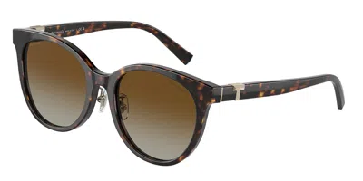 Tiffany & Co Tf4209d Asian Fit Polarized 8015t5 Women's Sunglasses Tortoiseshell Size 54 In Brown