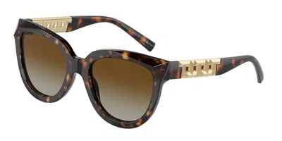 Tiffany & Co Tf4215 Polarized 8015t5 Women's Sunglasses Tortoiseshell Size 53 In Brown