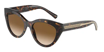 Tiffany & Co Tf4220 801551 Women's Sunglasses Tortoiseshell Size 54 In Brown