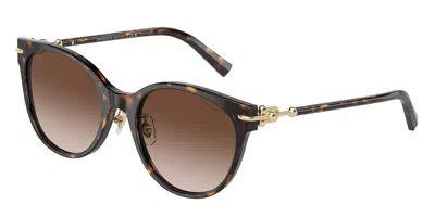 Tiffany & Co Tf4223d Asian Fit 80153b Women's Sunglasses Tortoiseshell Size 54 In Brown