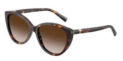 Tiffany & Co Tf4251 80153b Occhiali Da Sole Tartarugatishell Per Donna In Brown