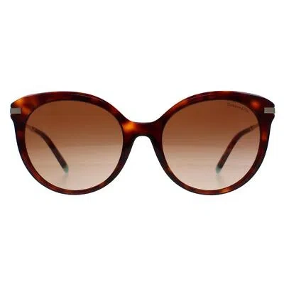 Pre-owned Tiffany & Co Tiffany Sunglasses Tf4189 80023b Havana Brown Gradient