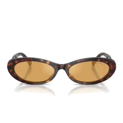 Tiffany & Co Tiffany Tf4250 Sunglasses In Brown
