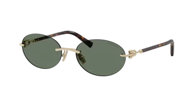Tiffany & Co . Unisex Sunglasses Tf3104d In Green