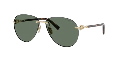 Tiffany & Co . Unisex Sunglass Tf3124 In Dunkelgrün