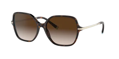 Tiffany & Co . Woman Sunglass Tf4191 In Brown