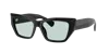 Tiffany & Co Tiffany Light Azure Cat Eye Ladies Sunglasses Tf4230f 8001d9 54 In Black