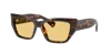 Tiffany & Co . Woman Sunglass Tf4230 In Brown