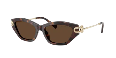Tiffany & Co . Woman Sunglass Tf4231u In Brown
