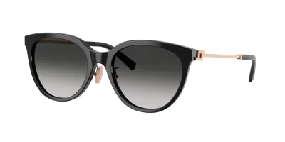 Tiffany & Co . Woman Sunglass Tf4243d In Black