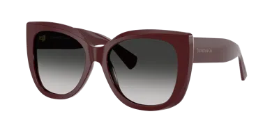Tiffany & Co . Woman Sunglasses Tf4229 In Burgundy