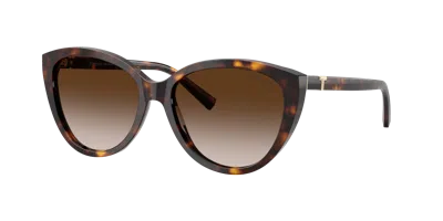 Tiffany & Co . 57mm Gradient Phantos Sunglasses In Brown