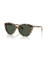 Tiffany & Co . Sunglasses In Multi
