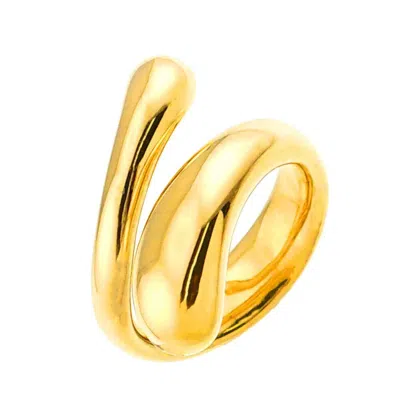 Pre-owned Tiffany & Co Yellow Gold (18k) Band Ring () In Multi