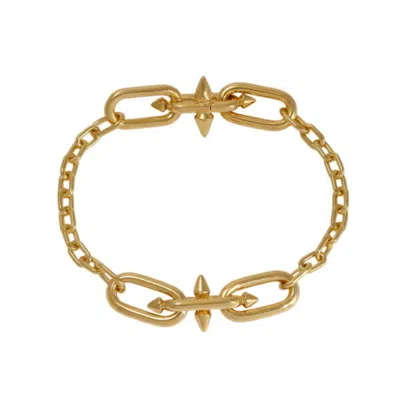 Pre-owned Tiffany & Co Yellow Gold (18k) Charm Bracelet () In Multi