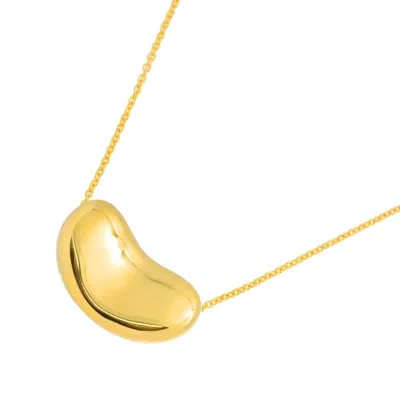Pre-owned Tiffany & Co Yellow Gold (18k) Necklace () In Multi