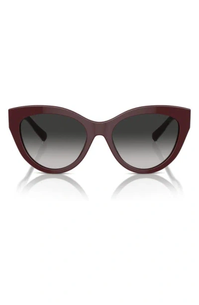 Tiffany & Co 54mm Gradient Cat Eye Sunglasses In Burgundy