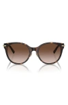 Tiffany & Co 57mm Gradient Cat Eye Sunglasses In Havana