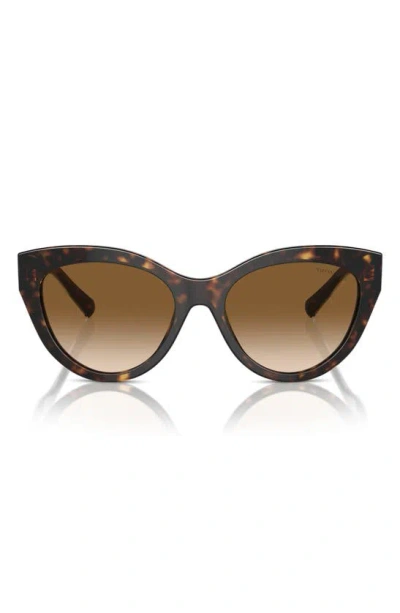 Tiffany & Co 54mm Gradient Cat Eye Sunglasses In Havana