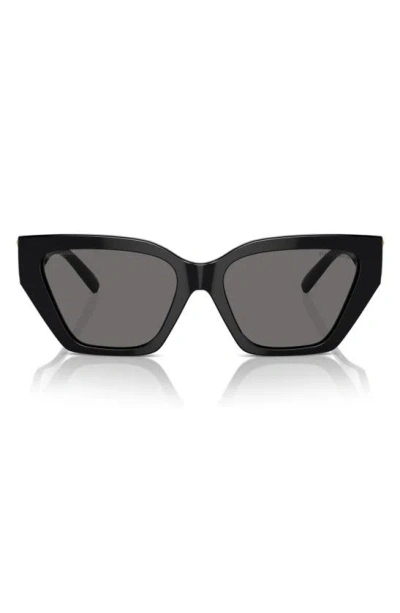 Tiffany & Co . 55mm Polarized Cat Eye Sunglasses In Multi