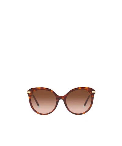 Tiffany & Co Cat's Eye Sunglasses In Brown