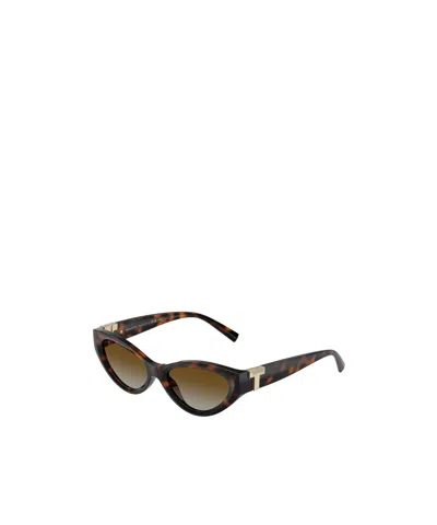 Tiffany & Co Full Frame Sunglasses In Black