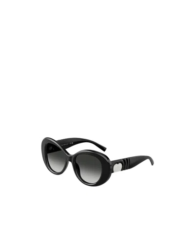 Tiffany & Co Full Frame Sunglasses In Black